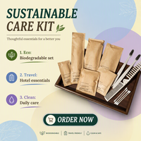 Kit d'articles de toilette écologiques de haute qualité pour hôtels, comprenant un kit dentaire en paille, conforme RoHS, articles de toilette jetables pour chambre d'hôtel, mini-kit de toilette