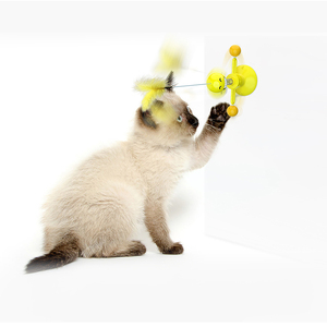 Nuovo Arrivo: Giocattolo Interattivo per Gatti con Palla a Molla in TPR Ecologico - Divertente e Resistente Gioco per Gatti per Gioco e Esercizio al Chiuso - Product Image 3