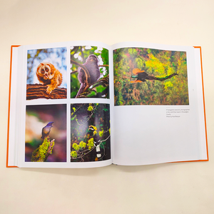 Service d'impression personnalisé de livres <span class=keywords><strong>photo</strong></span> numériques bon marché, livres de voyage, magazines illustrés - Product Image 6