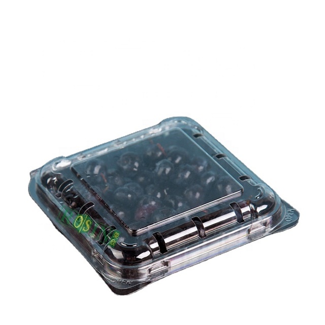 125g 250g 500g Plastic Fruit Packaging clear Box Fruit Berry Strawberry Blueberry Clamshell Container with Holes for Supermarket