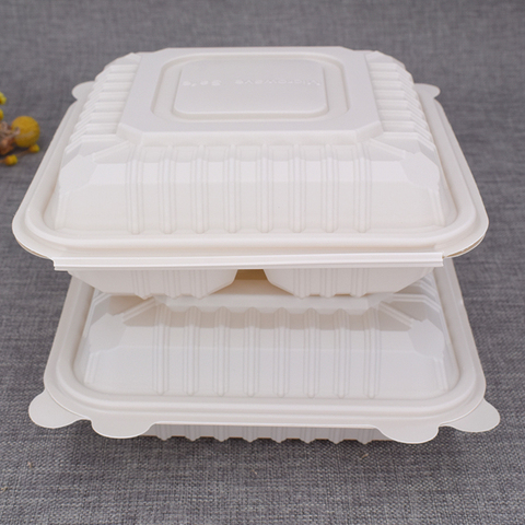 Biodegradable Food Container with Compartments