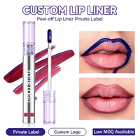 2026 Vente en gros, logo personnalisé, marque privée, gloss à lèvres minéral hydratant longue tenue, waterproof, peel-off, effet liner et teinte