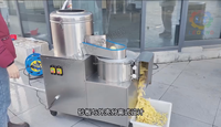 Automatische Fruit- en Groenteschilmachine Aardappel Wortel Zoete Aardappel Snijmachine Hoge Efficiëntie Wassen 380V/220V 3 Jaar Garantie