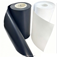 Film PTFE noir 100% vierge antistatique, résistant aux hautes températures, film PTFE découpé pour l'isolation de l'industrie électronique