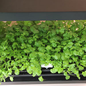 Support de plantes portable à 2 niveaux en métal, étagère de culture intérieure, lumière LED, hauteur réglable, roues mobiles, jardin hydroponique intelligent pour herbes - Product Image 4