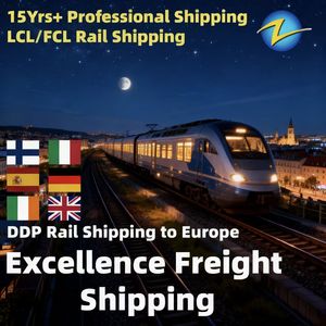 Agente di Spedizione Marittima e Ferroviaria Più Economico dalla Cina all'India, Servizio Porta a Porta DDP verso India, Amburgo, Parigi, Regno Unito - Product Image 3