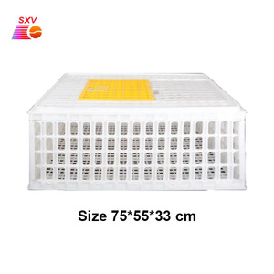 Nueva Jaula de Transporte de Pollos de Plástico para Granja, Tipo H, Capacidad para 10-20 Pollos - Product Image 6