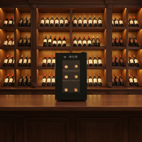 Réfrigérateur portable pour la maison, cave à vin pour 6 bouteilles, refroidisseur à vin, cuisine, bureau, refroidisseur à vin