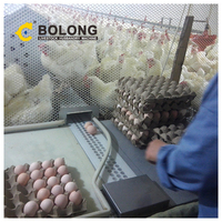 Équipement d'automatisation de la volaille BOLONG équipement de ferme avicole de poulet poulailler en liberté