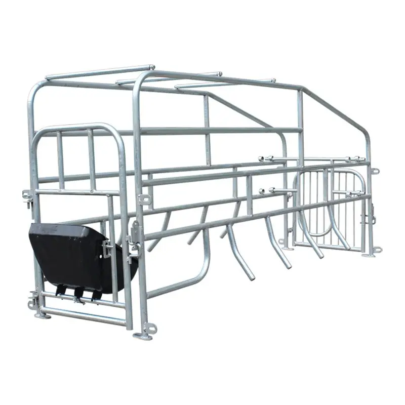 Gestation cage Pig farming equipment gestation crate gestation stalls for sow