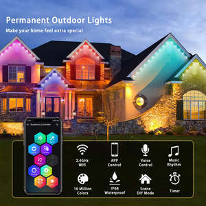 Navidad permanente Led Luces de vacaciones al aire libre DC24V 30mm Rgbw Iluminación ajustable Led Point Light - Product Image 5
