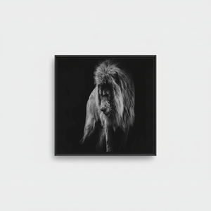 Majestic Lion Canvas Print - Elegant Wildlife Artwork,<b>BLACK</b> <b>FRAMED</b> CANVAS - Product Image 2