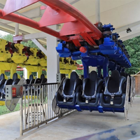 Manèges de parc d'attractions, montagnes russes à sensations fortes, longueur de la piste de 300 m, vitesse de 49 km/h, 16 passagers, construction en acier et fibre de verre