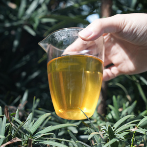 Boules de thé fleuri parfumées au <span class=keywords><strong>jasmin</strong></span>, nouées à la main, exquises, pour des présentations florales magnifiques, idéales pour les cadeaux et occasions spéciales, 24 mois - Product Image 6