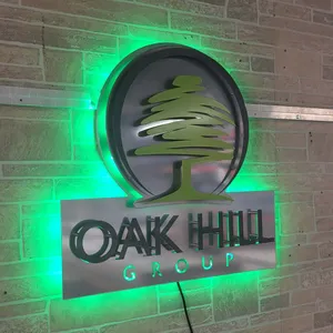Outdoor Store Luminous Neon Light Letter Led Logo Backlit 3d Acrylic Letter Logo Led Backlit Wall Signage