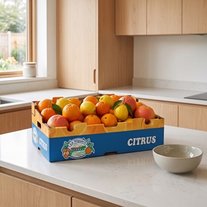 Caja de Embalaje para Frutas Impresa con Logotipo Personalizado para Entrega de Frutas y Aplicaciones de Exportación - Product Image 3