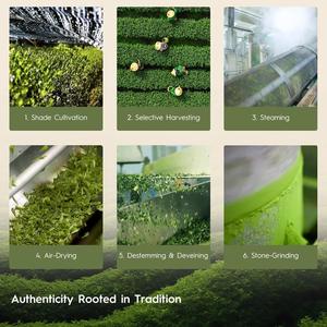 ผงวิตามินมัทฉะสำหรับสุขภาพภูมิคุ้มกันติดฉลากส่วนตัว - Product Image 5