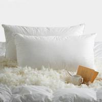 Vente chaude : Inserts de coussin en duvet et plumes d'oie et de canard pour un sommeil sain, qualité hôtelière 5 étoiles, pour hôtels et usage domestique