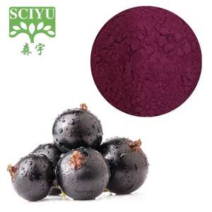 Bubuk Ekstrak <span class=keywords><strong>Black</strong></span> <span class=keywords><strong>Currant</strong></span> untuk Jus dan Penggunaan Makanan, Larut dalam Air dan dengan Standar Tinggi Antosianin - Product Image 4