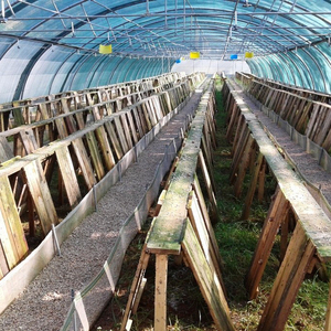 Estructura de Invernadero de Alta Calidad para Cultivo de Caracoles con Sistema Hidropónico, Venta al Por Mayor Global - Product Image 3