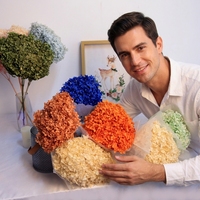 Fleur séchée 20-25cm pour décoration intérieure, Hortensia préservé pour Anna Hydrangea, fournitures de bouquets de plantes décoratives