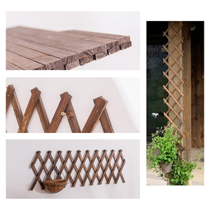 Lot <span class=keywords><strong>de</strong></span> 2 treillis muraux extensibles en bois, support <span class=keywords><strong>de</strong></span> jardin pour plantes grimpantes d'extérieur, décoration murale verticale pour plantes d'intérieur - Product Image 6