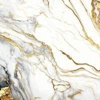 Carrelage en Porcelaine Glacée Effet Marbre Poli 600x600mm Anti-Dérapant – Meilleures Ventes