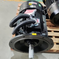 Motor Eléctrico de Frecuencia Variable de 30 kW con Inversor de Accionamiento Lateral y Eje de Repuesto - Precios