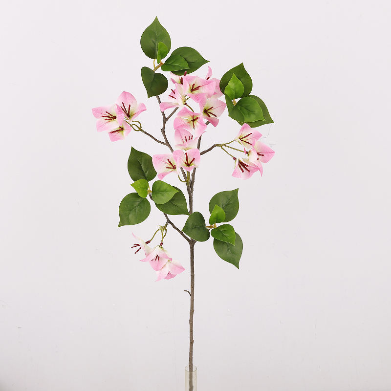 สีชมพูเข้ม