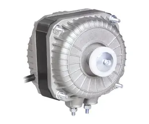 110V Shaded Pole Motor zu verkaufen