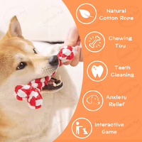 Jouet en corde pour chien tressé de différentes formes Jouets à mâcher pour chien en corde de coton naturel mignon