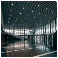 Elegantes Paneles de Techo de Aluminio para Arquitectura Moderna y Proyectos de Interiores