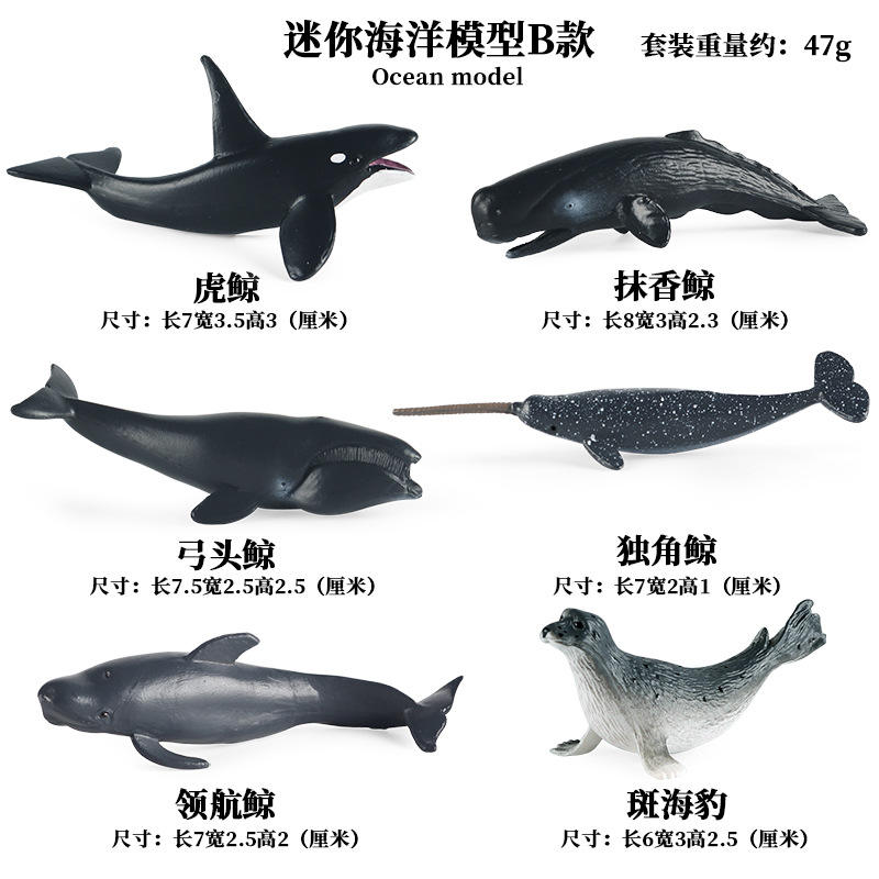 KZ Mini Océano B (6 sets)