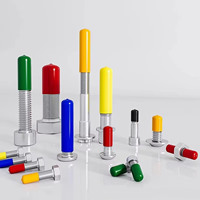 Capuchons de protection pour boulons, étanches et anti-fuites, personnalisables multicolores, vente en gros d'usine, imperméables, meilleur prix en gros, en caoutchouc PVC