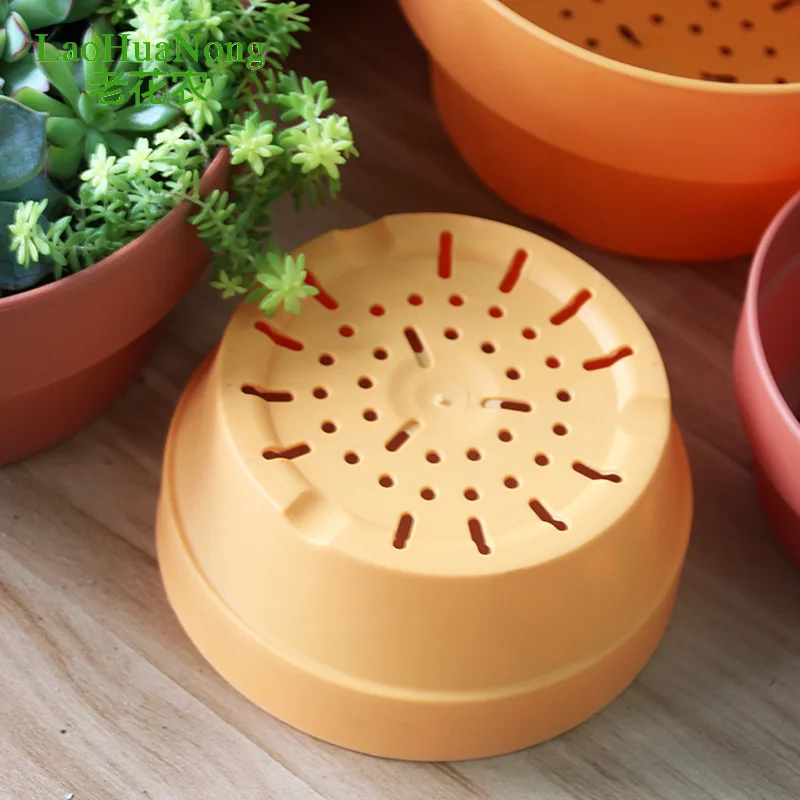 P84 Terracotta Shallow Plant Pot with Drain Hole for Succulent Cactus  Nursery