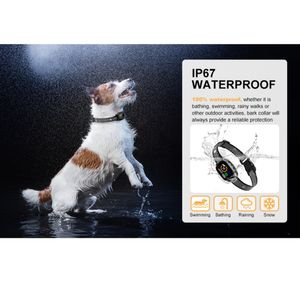 Nauwkeurige Identificatie Niet-Elektrische Halsband Met Lage Valse Alarmsnelheid Gemaakt Van Duurzaam Plastic - Product Image 6