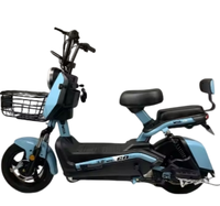 Vente chaude Vélo électrique Grande puissance Scooter électrique populaire Vélo électrique bon marché à longue portée