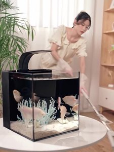 Goedkope Groothandel Ultra-Witte Ecologische Vissentank Kleine Desktop Landschap Schildpad Aquarium Indoor Vis Aquarium Voor Woonkamer - Product Image 6
