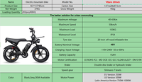 Vélo électrique familial de ville à 2 places avec pneus larges de 20 pouces, moteur arrière de 250 W, frein à disque, batterie au lithium