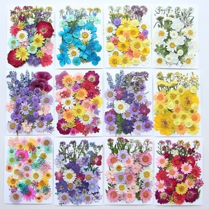 Vente en gros de mini sacs de matériaux de <span class=keywords><strong>fleurs</strong></span> sèches bricolage maquillage Nail Art cadre de téléphone décor vraies <span class=keywords><strong>fleurs</strong></span> pressées séchées naturelles pour résine - Product Image 1