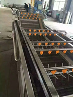 6m Automatische Voedselverwerkingslijnen - Fruit- en groentewasmachine Voedselsterilisator 800kg/u capaciteit SUS30408 Materiaal 3mm