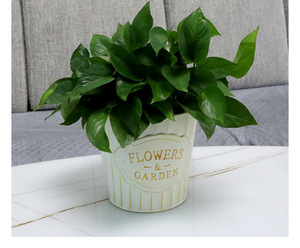 Small Metal Rectangular Hanging Bucket Detachable and Holes Bottom <b>Flower</b> Growing Pot Wedding Display Plant - Product Image 5