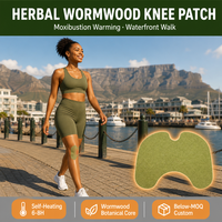 Patch chauffant pour genou à base de plantes, gingembre et armoise, en tissu non tissé, apaisant, respirant, naturel, OEM, faible MOQ, tendance actuelle