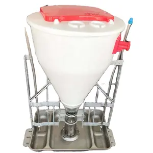 Pig feeder for Finisher crate Automatic dry wet feeder 100L with feed quantity adjustable facility