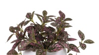 Plantes artificielles à toucher réel Oh Arts Factory Direct Selling pour la décoration de la maison, du jardin, du porche et du balcon