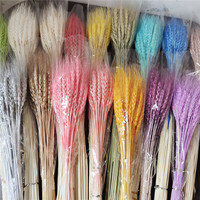 Bouquet de fleurs de blé séchées naturelles préservées pour la décoration de la maison et de mariage - Style bohème