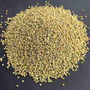 Polen de Girasol, Polen de Habas y Polen de Colza en Polvo, al por Mayor, de Alta Calidad, Nuevo y Fresco, al Mejor Precio - Product Image 4