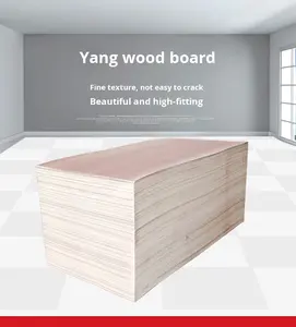 Lembaran Kayu Lapis Berkualitas Tinggi Kelas Atas Sangat Tahan Lama, Andal, dan Serbaguna untuk Kebutuhan Konstruksi - Product Image 3