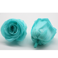 Yunnan — fleur de rose naturelle, fournitures de fleurs, vente en gros
