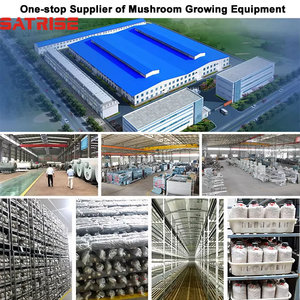 1300 túi/h nấm Shiitake rắn đẻ trứng Túi Đấm inoculator nấm Trồng Cấy máy - Product Image 5